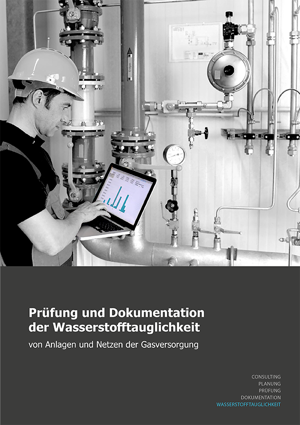 Download: Broschüre "Prüfung und Dokumentation der Wasserstofftauglichkeit von Anlagen und Netzen der Gasversorgung" (PDF)